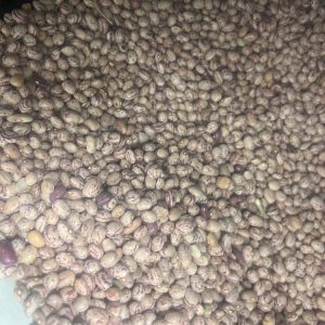 لوبیا چیتی درجه یک